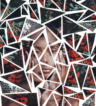 DORA SILADI 2.d_web dizajner