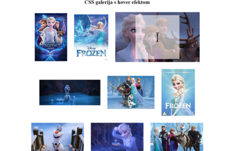 WEB DIZAJNER
Web projekti - css/flex galerija_vježba
_mentor: Suzana Šestan dipl. dizajner JULIO MATI 2.D_web dizajner