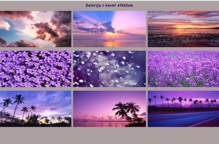 WEB DIZAJNER
Web projekti - css/flex galerija_vježba
_mentor: Suzana Šestan dipl. dizajner DORA SILADI 2.D WD